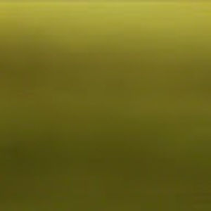 Meet your Posher, Corey